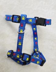 Small Blue Harness